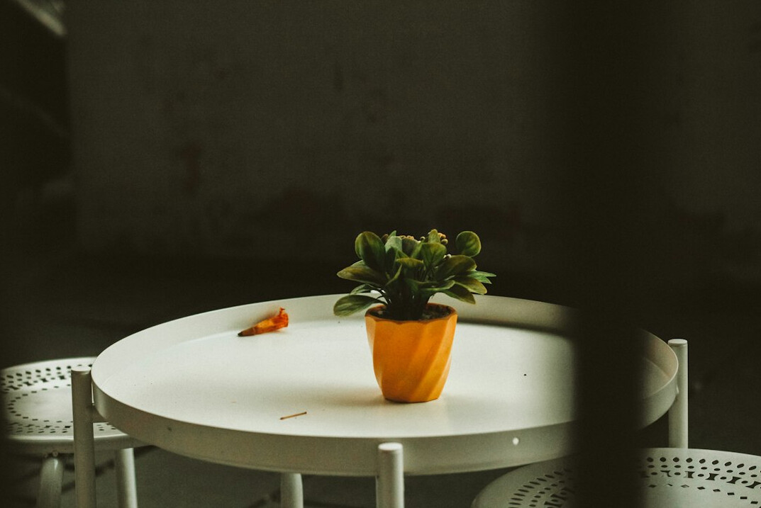 Minimalist office desk with a small potted plant and notebook